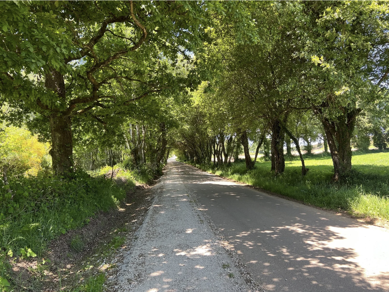 Screenshot 2026-03-11 at 10.39.09 AM.png