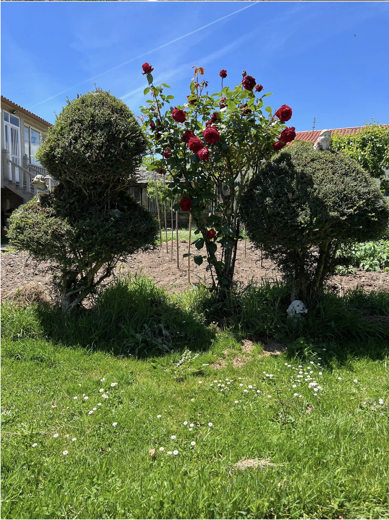 Screenshot 2026-03-11 at 10.39.20 AM.png