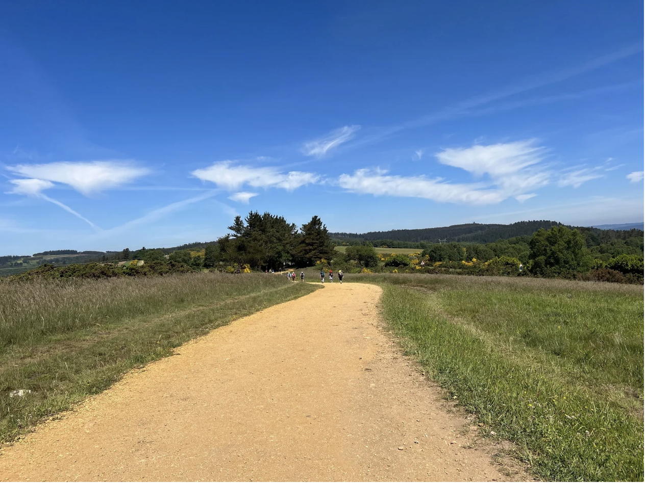 Screenshot 2026-03-11 at 10.39.47 AM.png