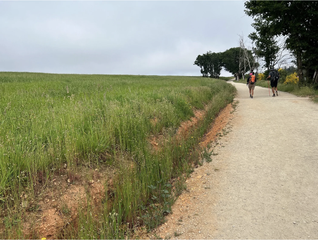 Screenshot 2026-03-11 at 10.40.19 AM.png