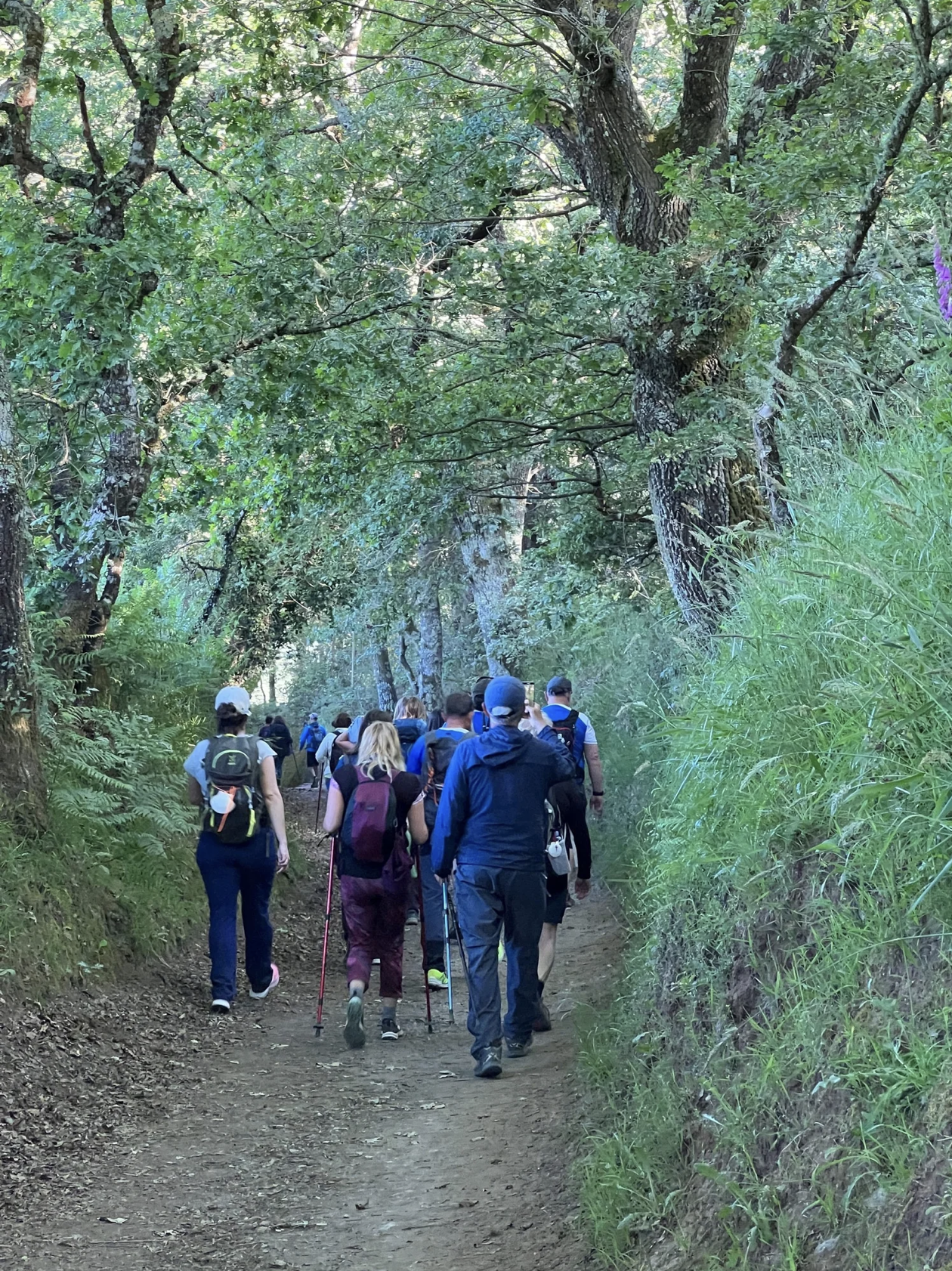 Screenshot 2026-03-11 at 10.43.27 AM.png