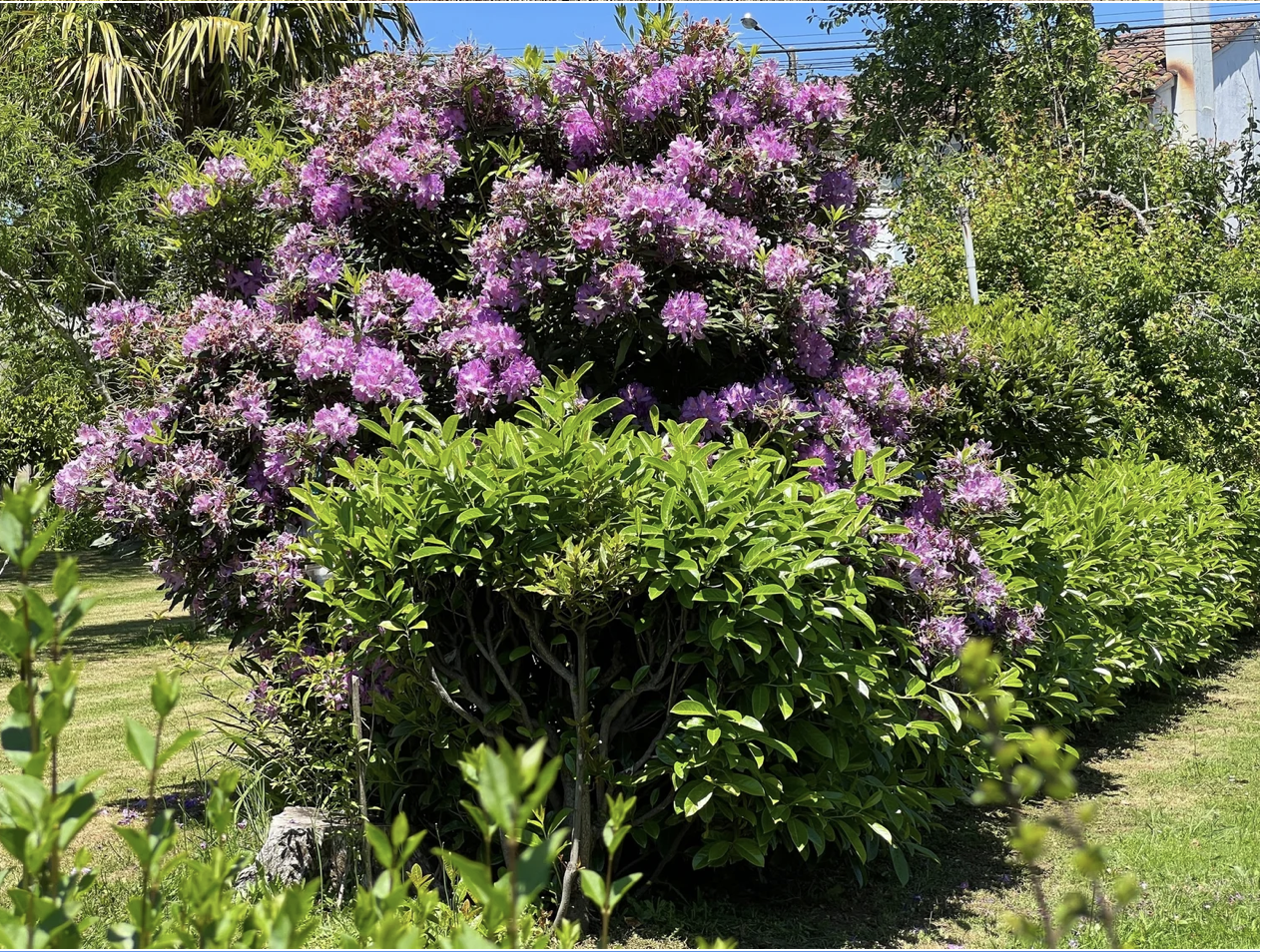 Screenshot 2026-03-11 at 10.43.58 AM.png