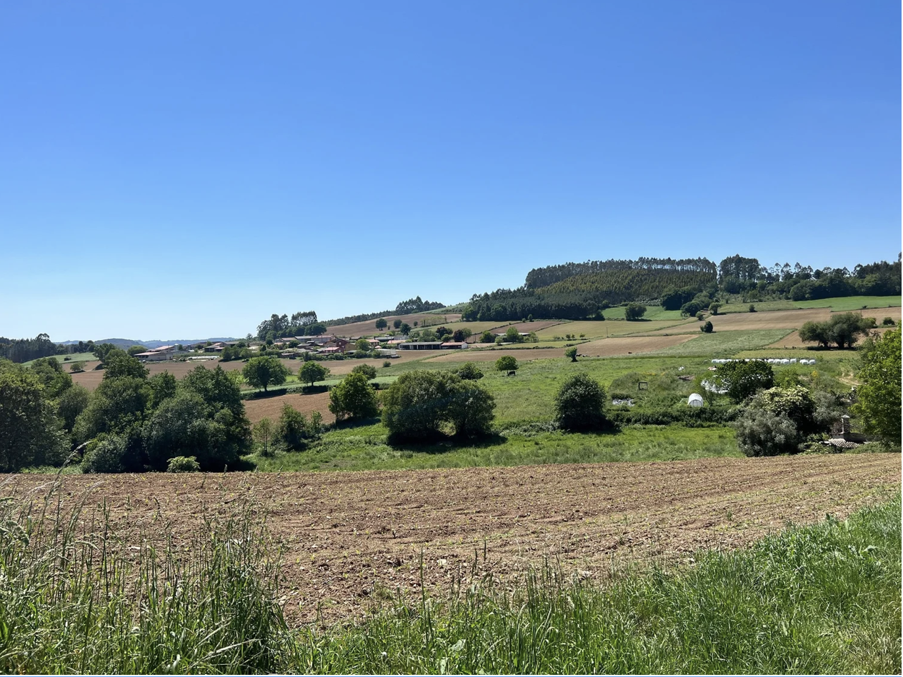 Screenshot 2026-03-11 at 10.44.10 AM.png