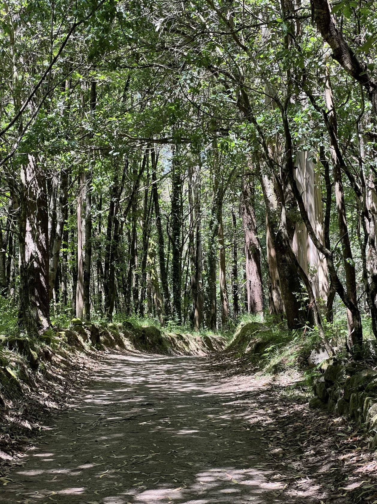 Screenshot 2026-03-11 at 10.44.34 AM.png