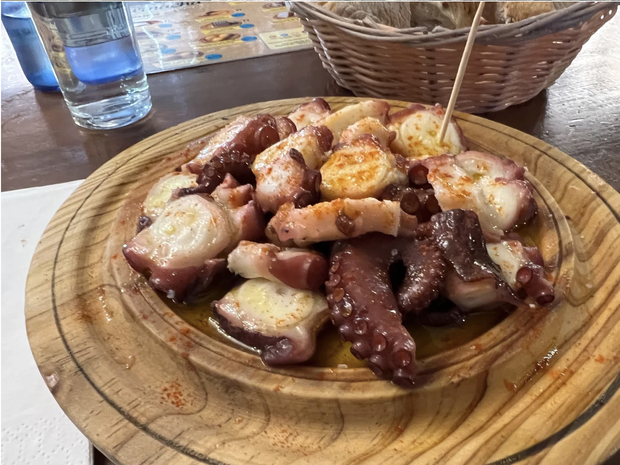 Screenshot 2026-03-11 at 10.44.48 AM.png