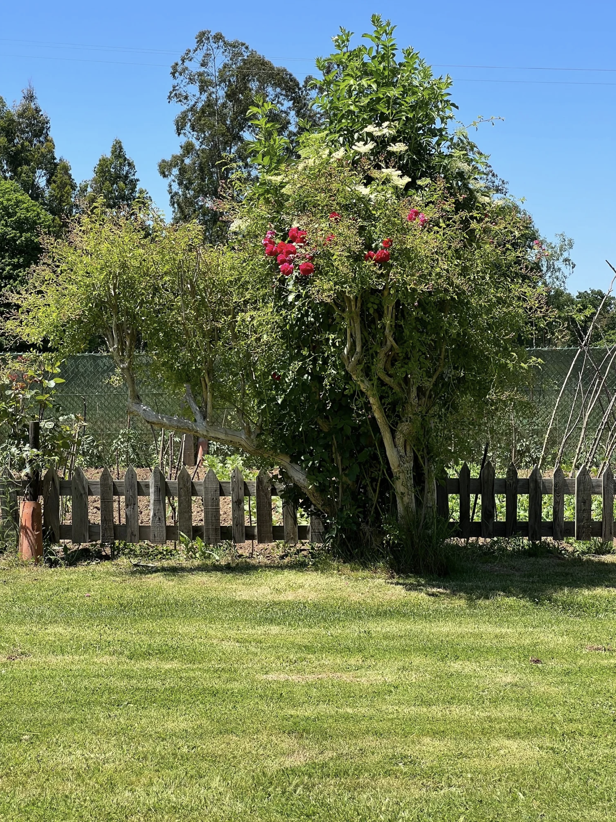 Screenshot 2026-03-11 at 10.45.46 AM.png