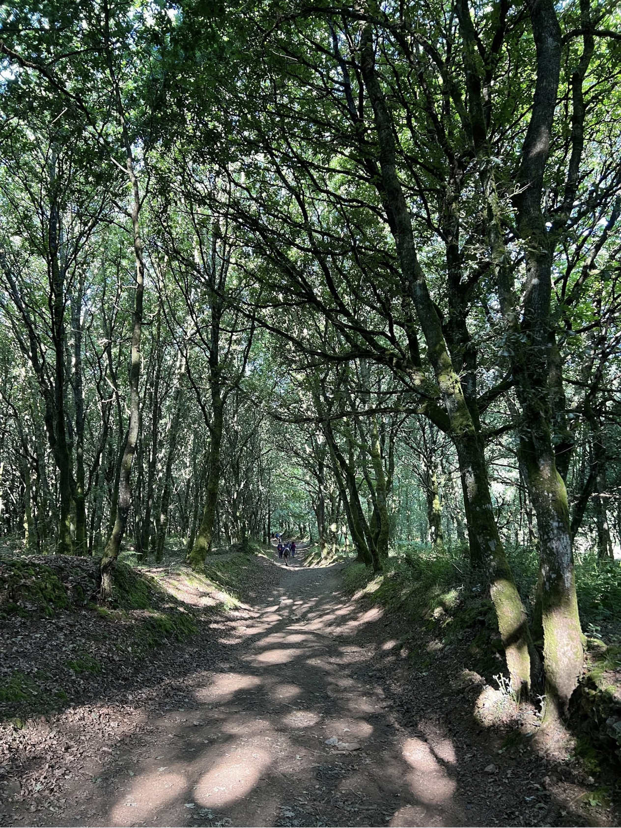 Screenshot 2026-03-11 at 10.45.58 AM.png