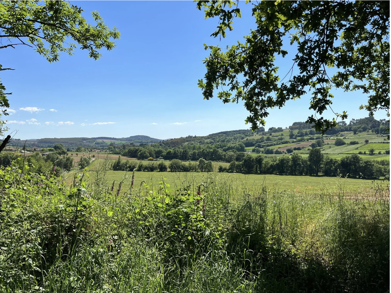 Screenshot 2026-03-11 at 10.46.35 AM.png