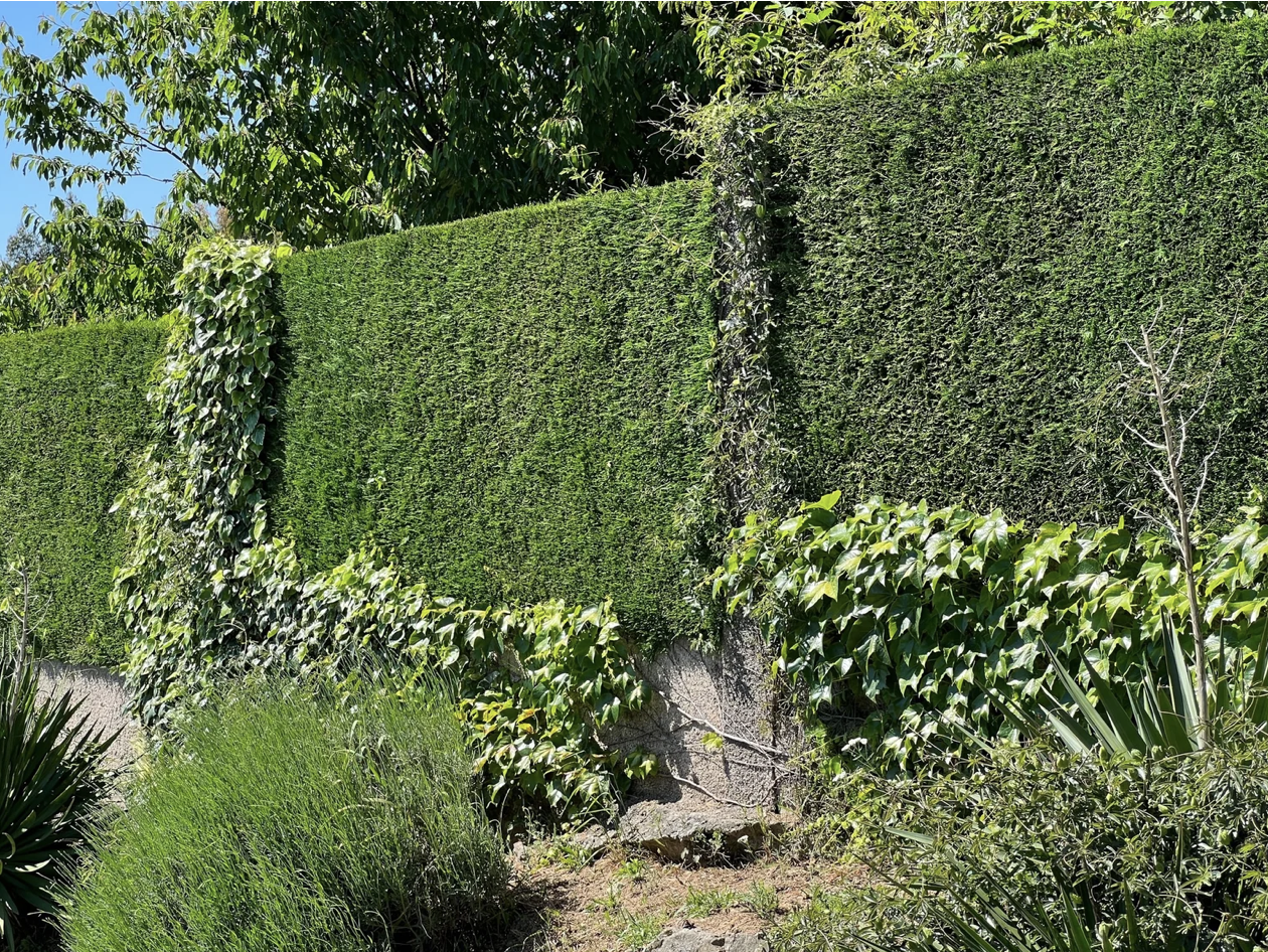 Screenshot 2026-03-11 at 10.46.45 AM.png