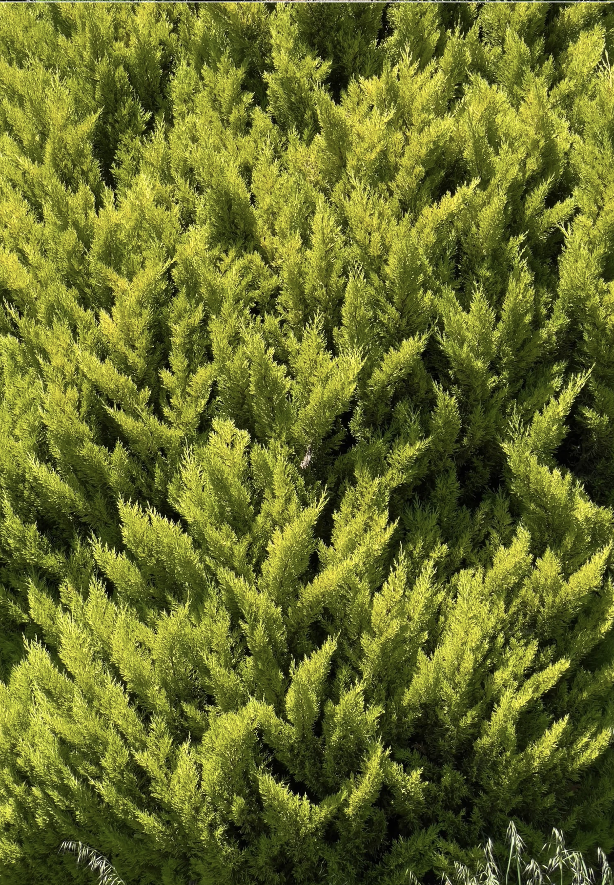 Screenshot 2026-03-11 at 10.46.58 AM.png