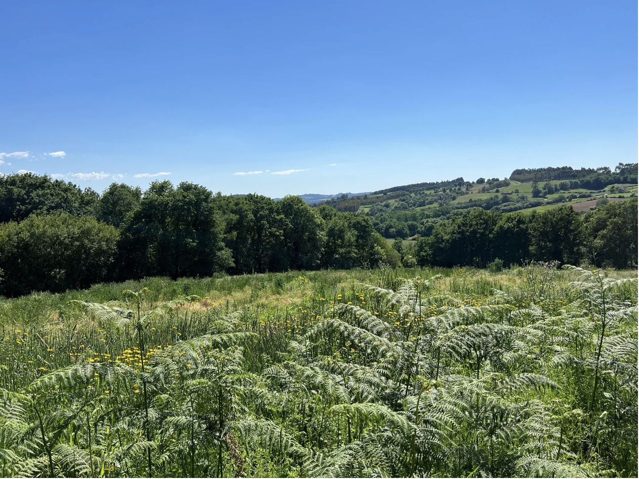 Screenshot 2026-03-11 at 10.47.25 AM.png