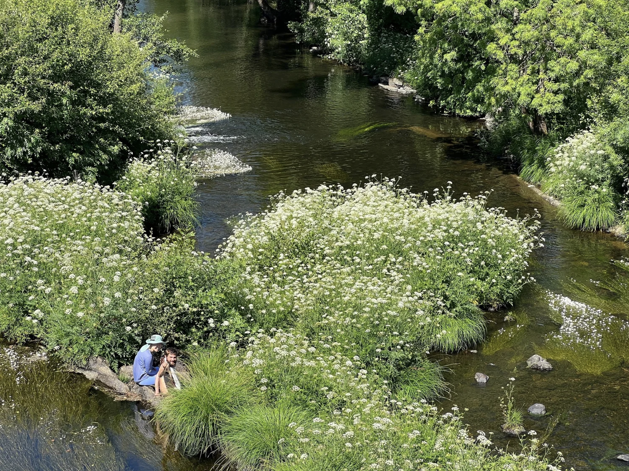 Screenshot 2026-03-11 at 10.48.19 AM.png