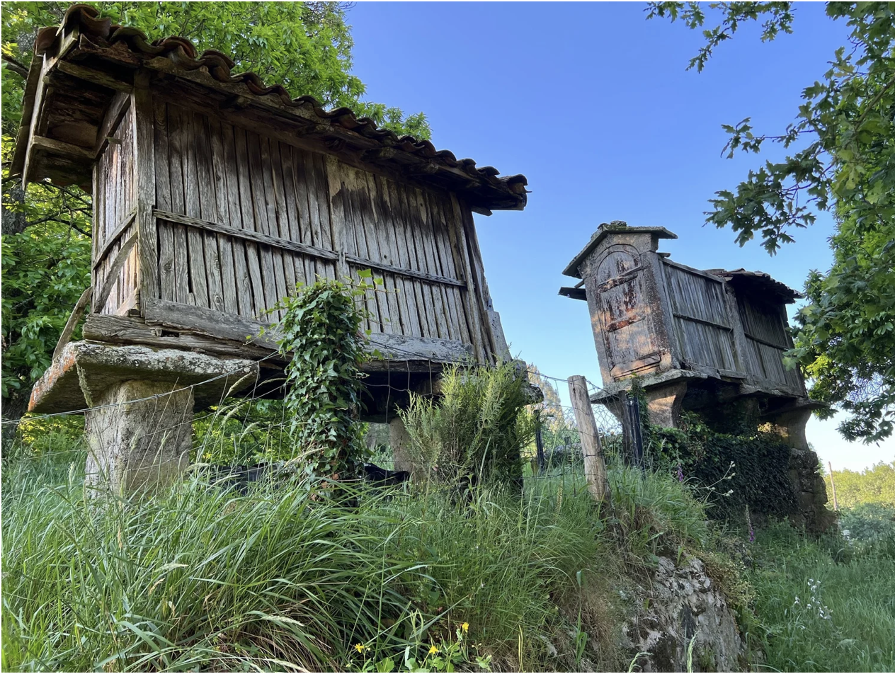 Screenshot 2026-03-11 at 10.49.01 AM.png