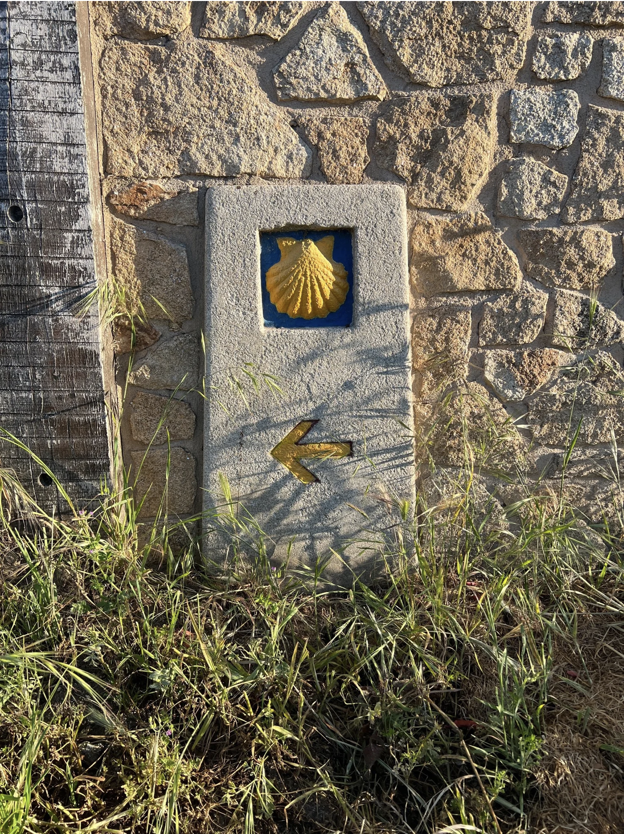 Screenshot 2026-03-11 at 10.49.12 AM.png