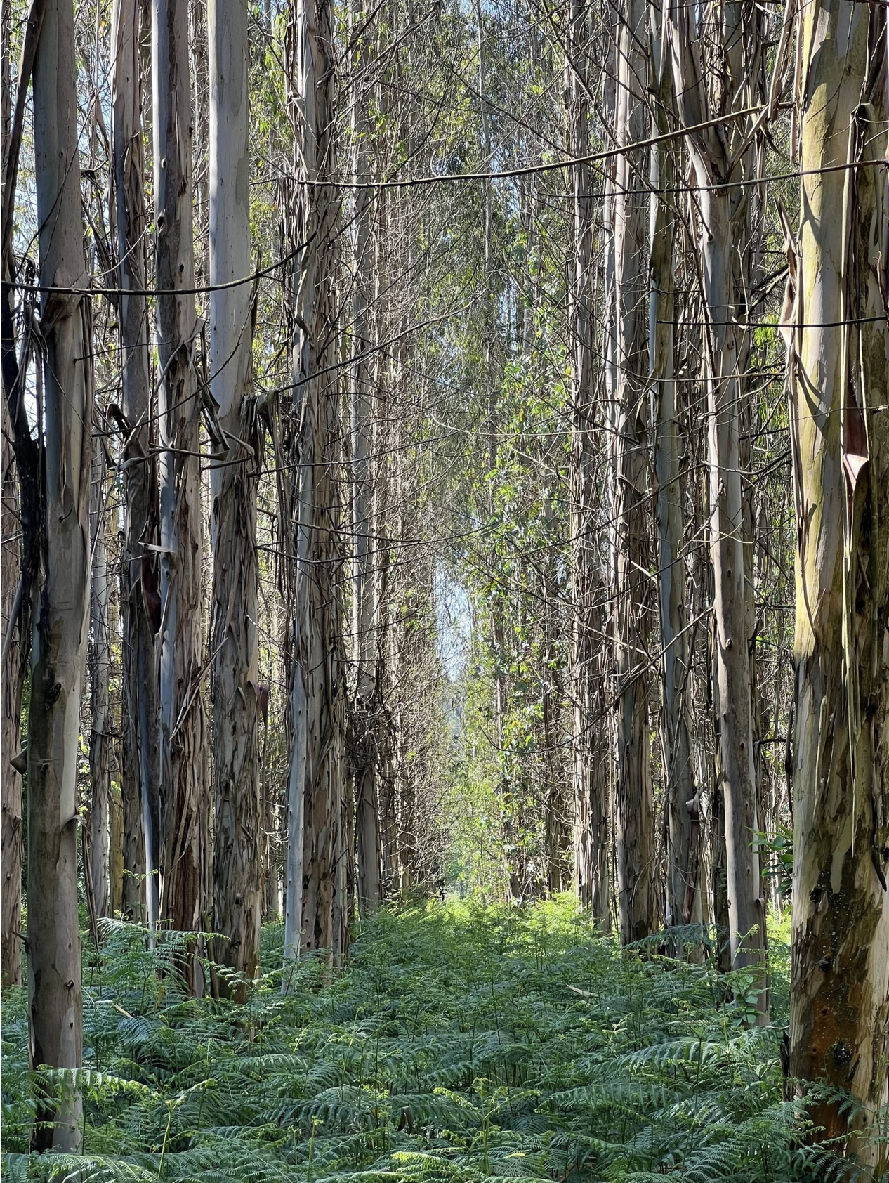 Screenshot 2026-03-11 at 10.52.16 AM.png