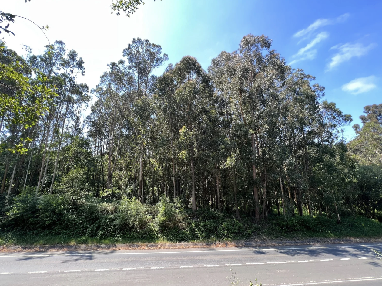 Screenshot 2026-03-11 at 10.52.27 AM.png