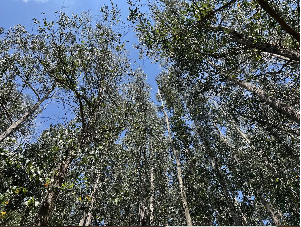 Screenshot 2026-03-11 at 10.53.08 AM.png