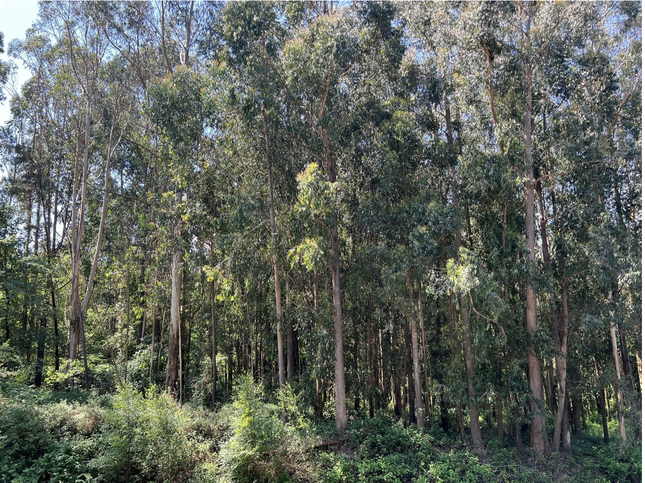 Screenshot 2026-03-11 at 10.53.58 AM.png