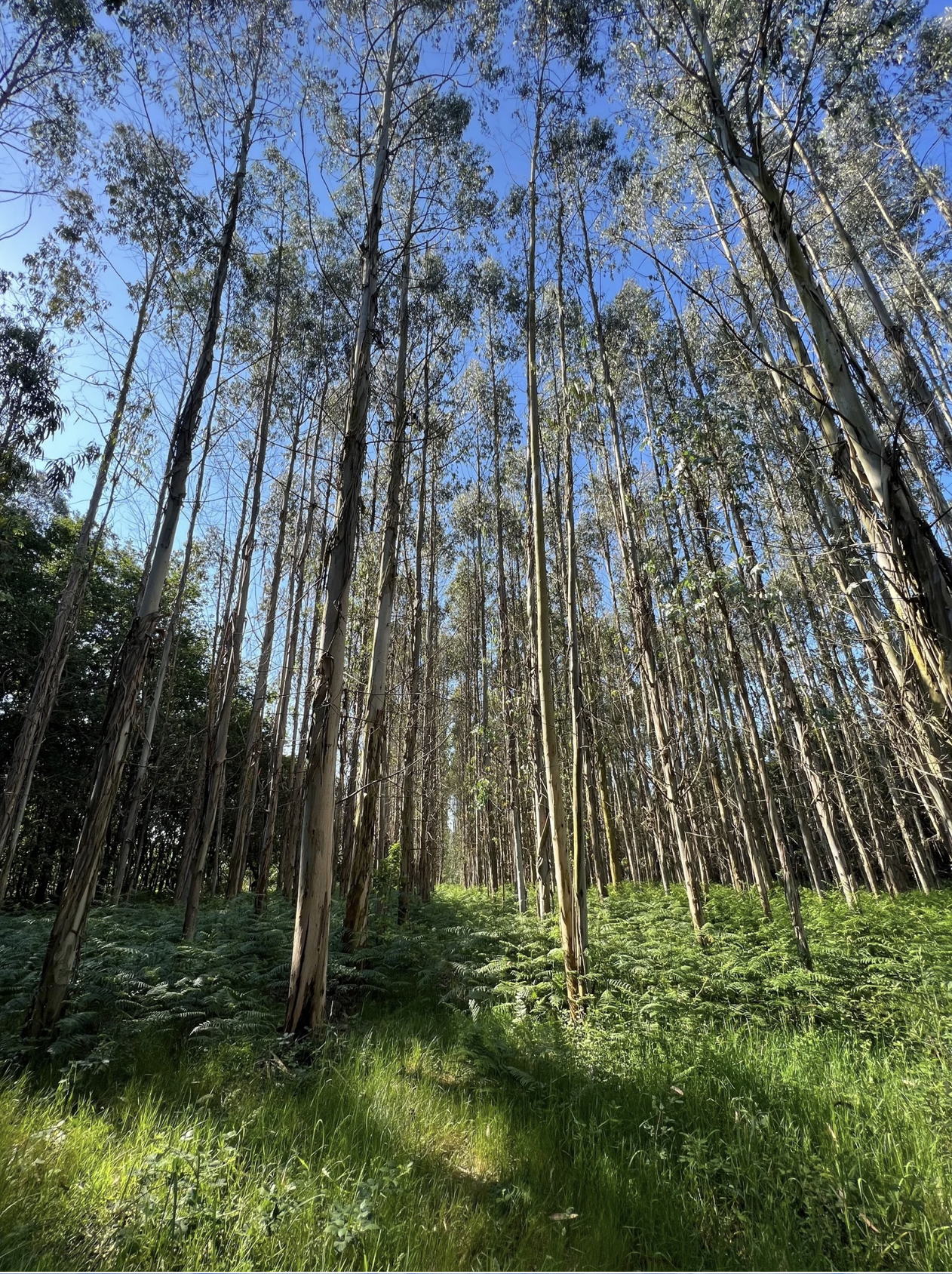 Screenshot 2026-03-11 at 10.54.21 AM.png