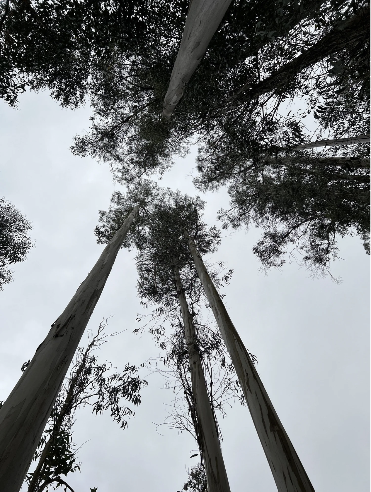 Screenshot 2026-03-11 at 11.00.02 AM.png