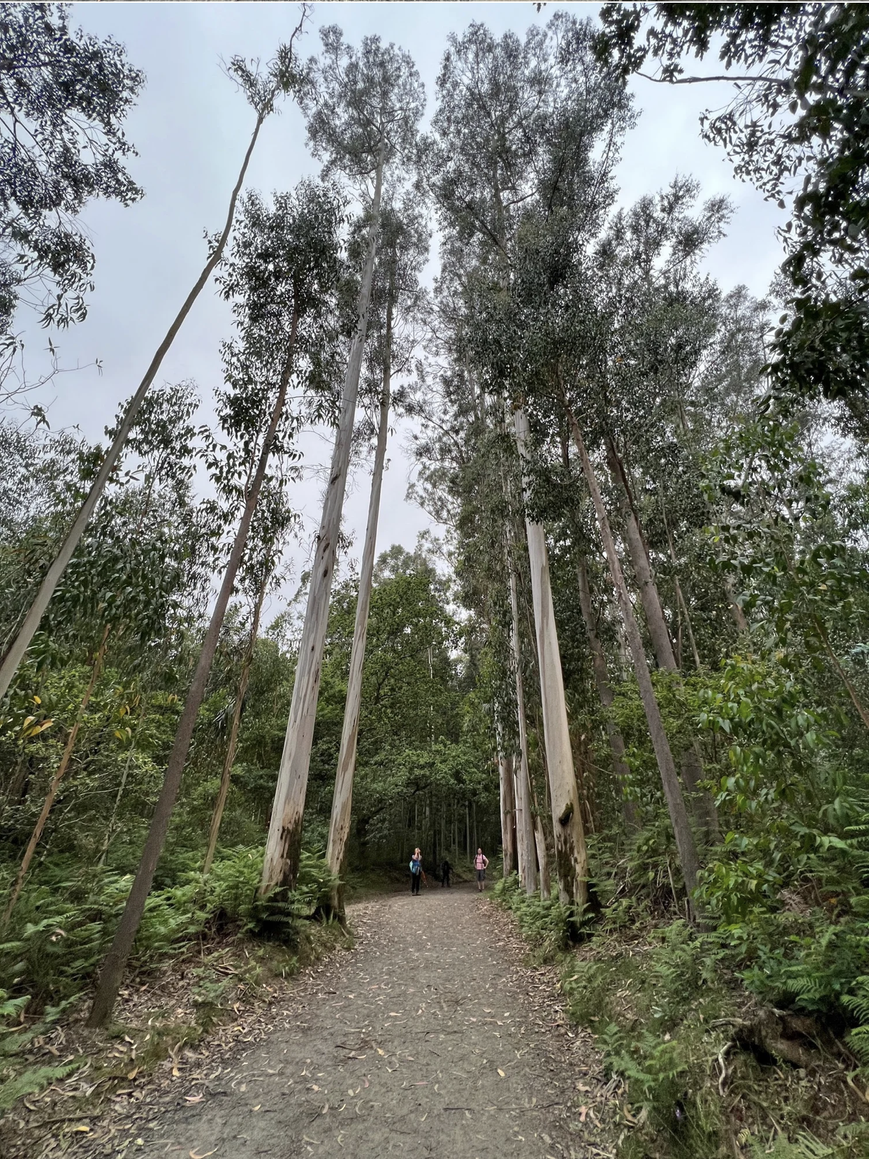 Screenshot 2026-03-11 at 11.00.34 AM.png