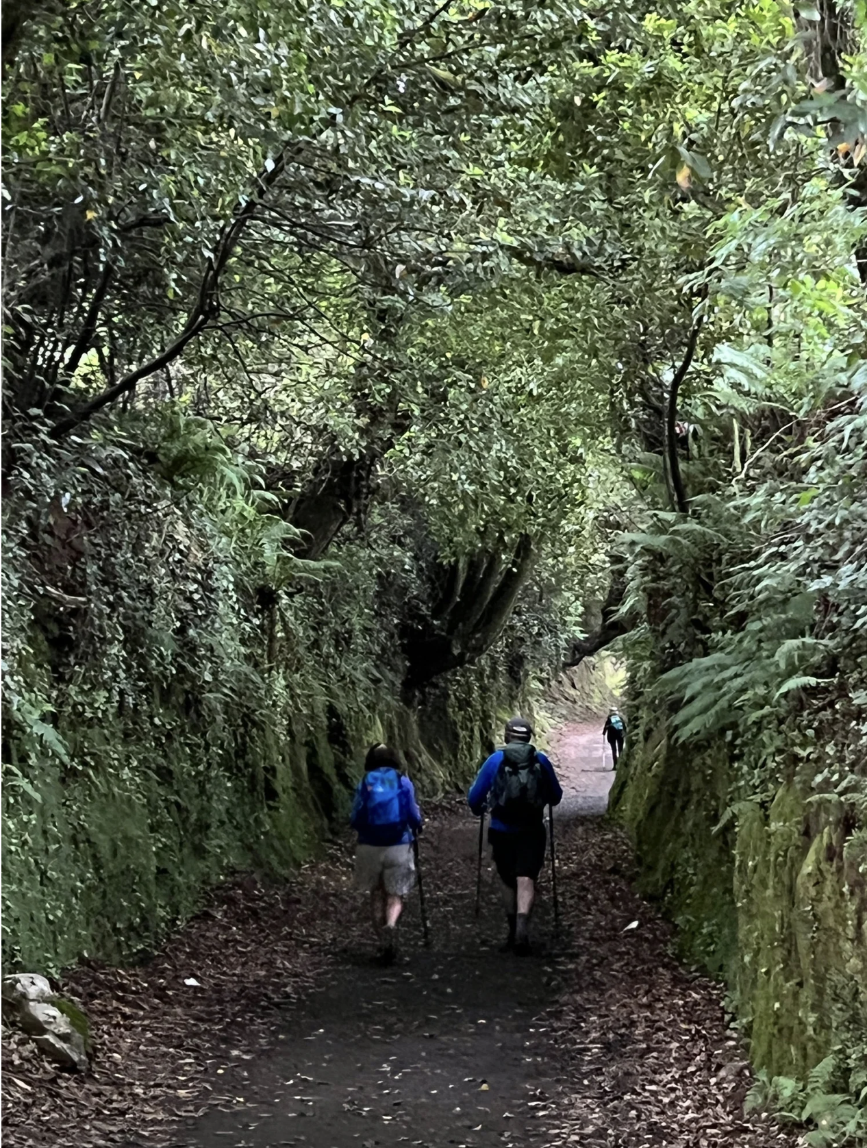 Screenshot 2026-03-11 at 11.00.44 AM.png