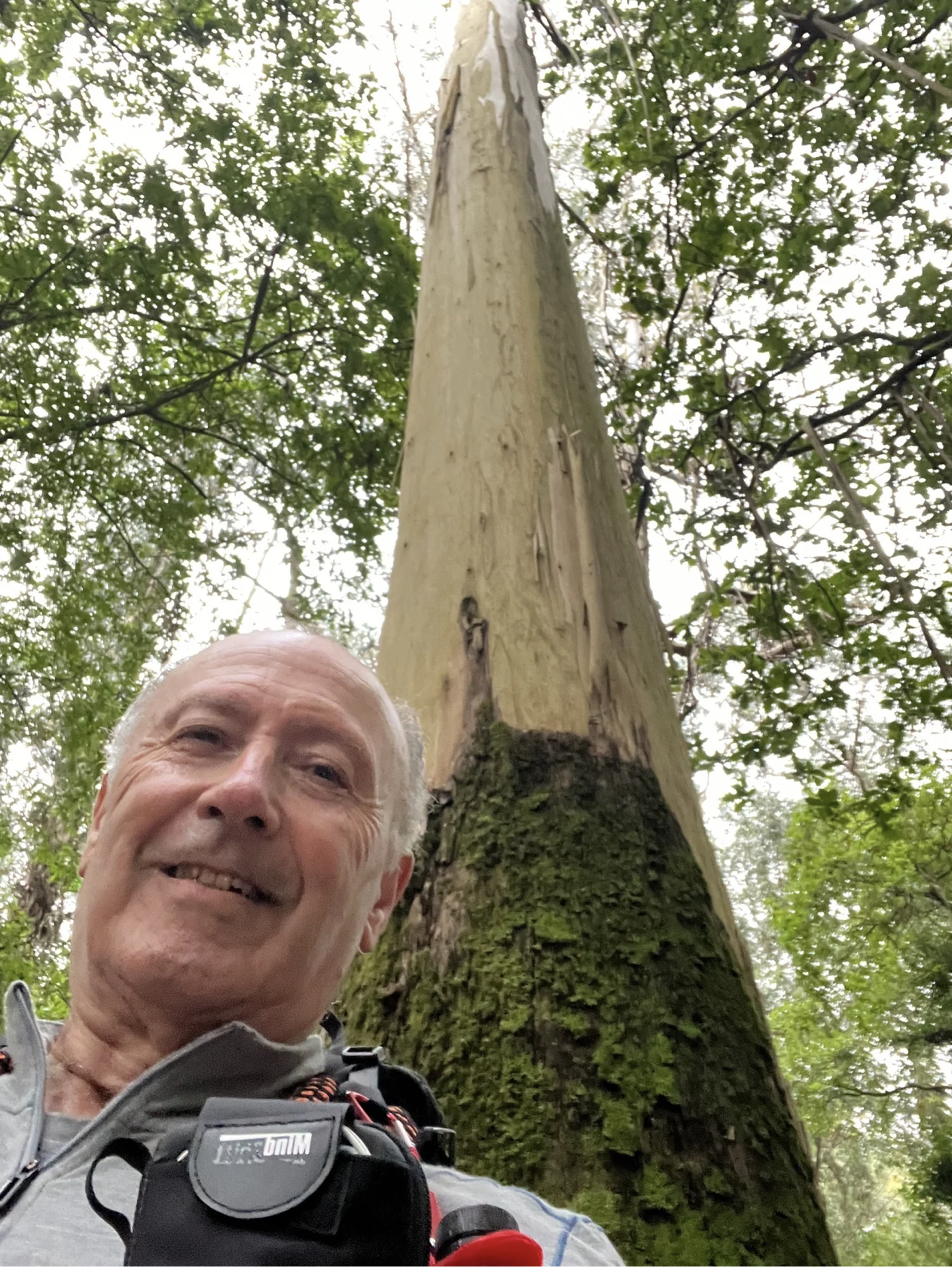 Screenshot 2026-03-11 at 11.02.56 AM.png