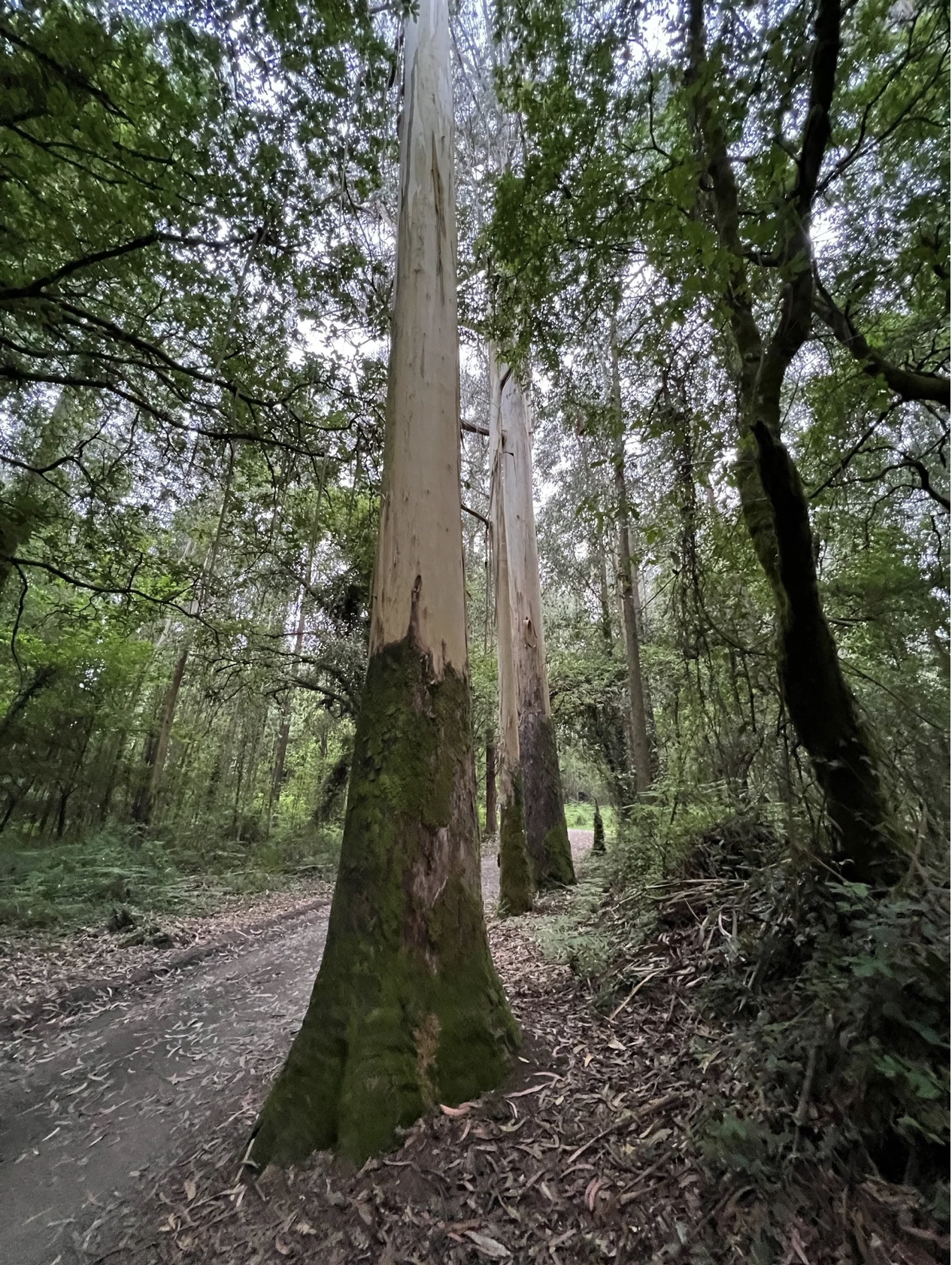 Screenshot 2026-03-11 at 11.03.07 AM.png