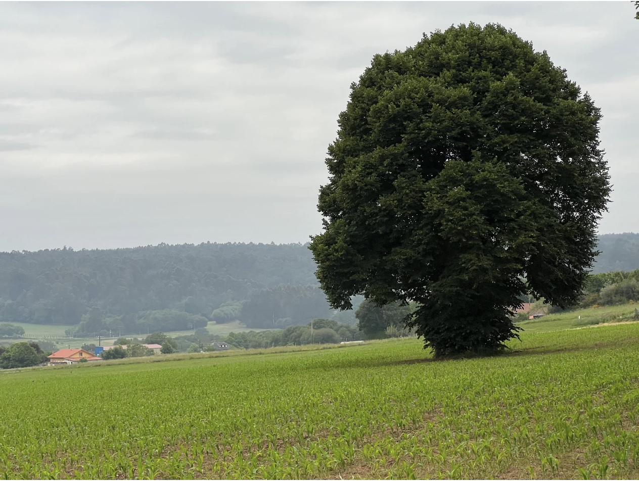 Screenshot 2026-03-11 at 11.03.20 AM.png