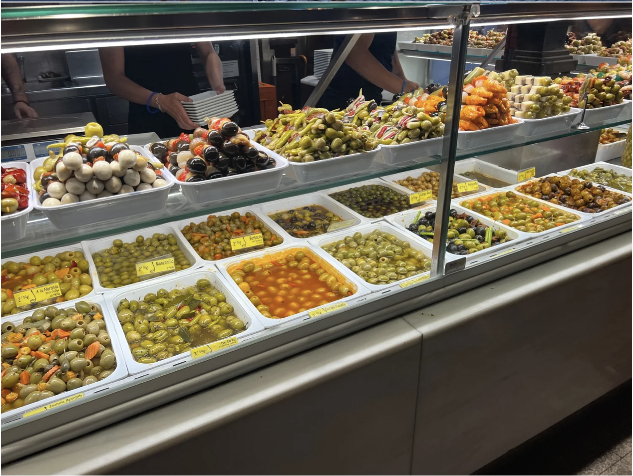 Screenshot 2026-03-11 at 11.12.00 AM.png