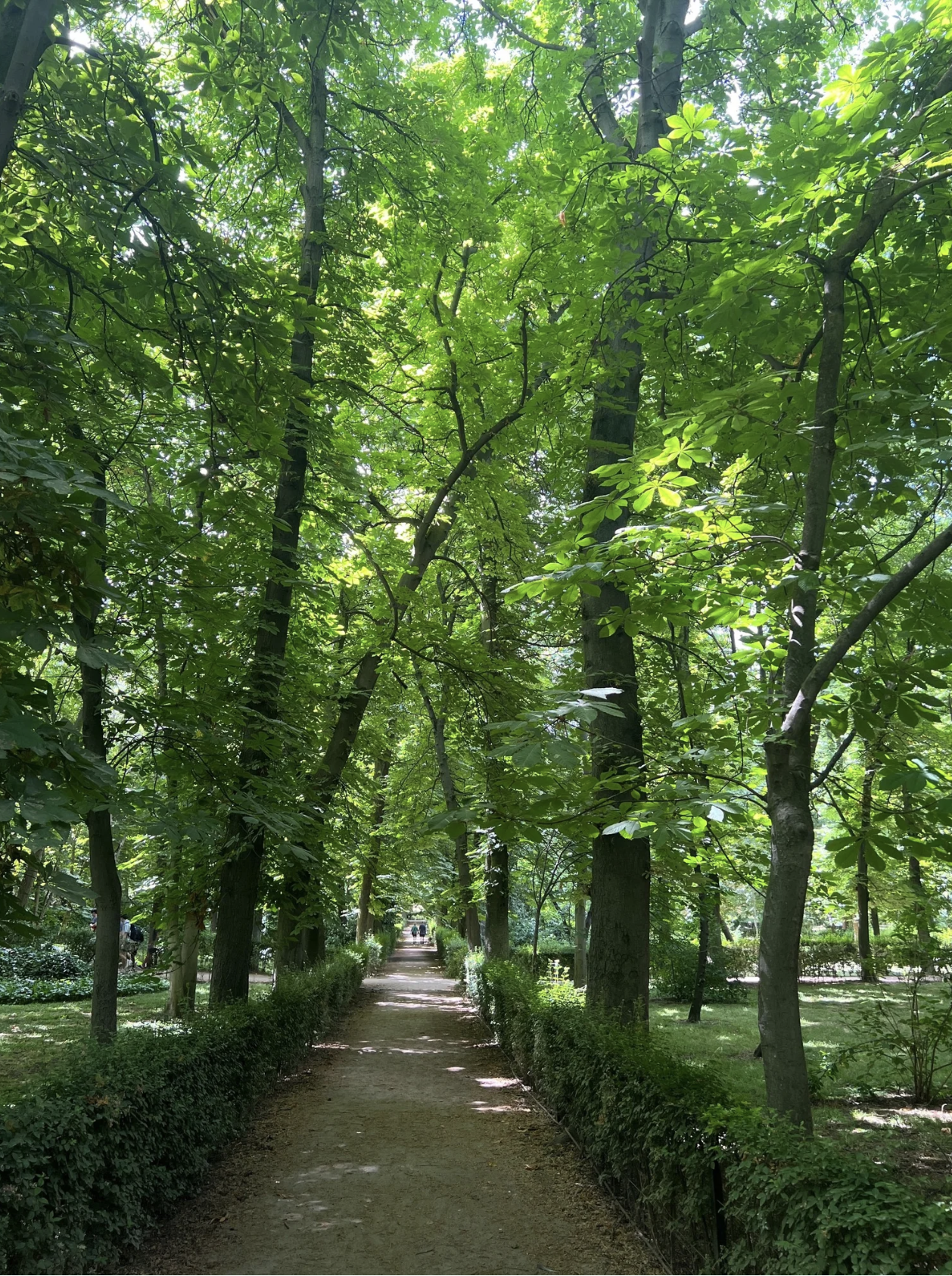 Screenshot 2026-03-11 at 11.38.31 AM.png