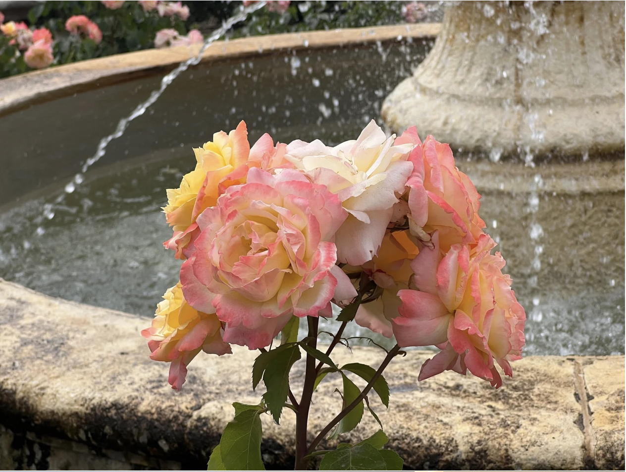 Screenshot 2026-03-11 at 11.39.48 AM.png