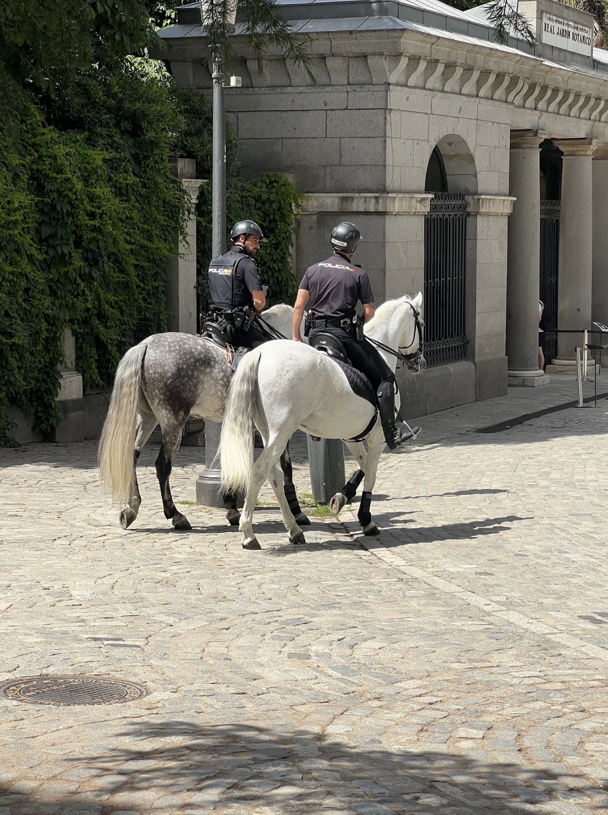 Screenshot 2026-03-11 at 11.42.45 AM.png