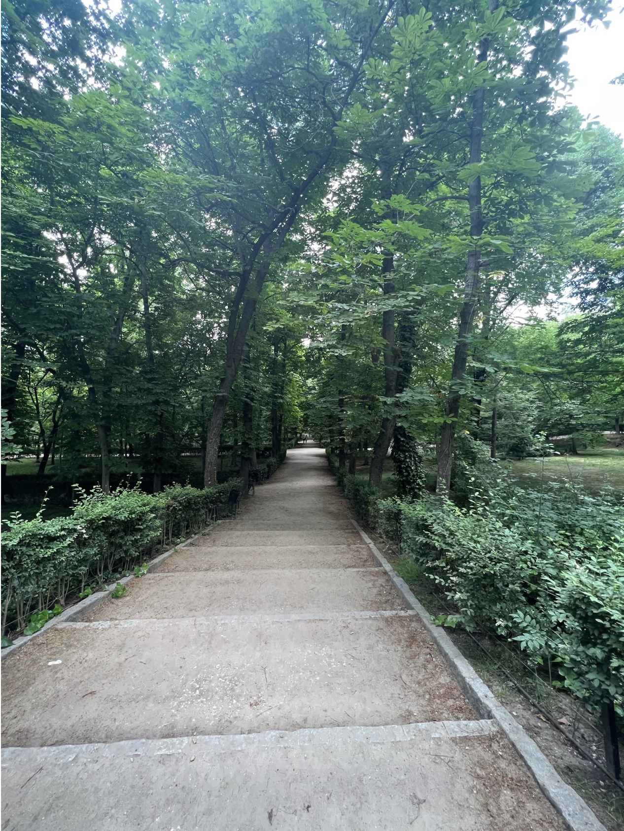 Screenshot 2026-03-11 at 11.43.26 AM.png