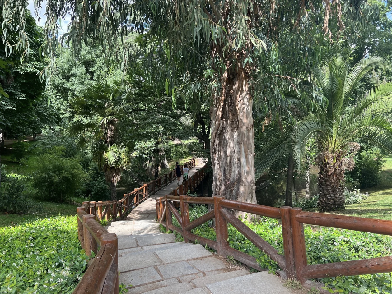 Screenshot 2026-03-11 at 11.43.39 AM.png