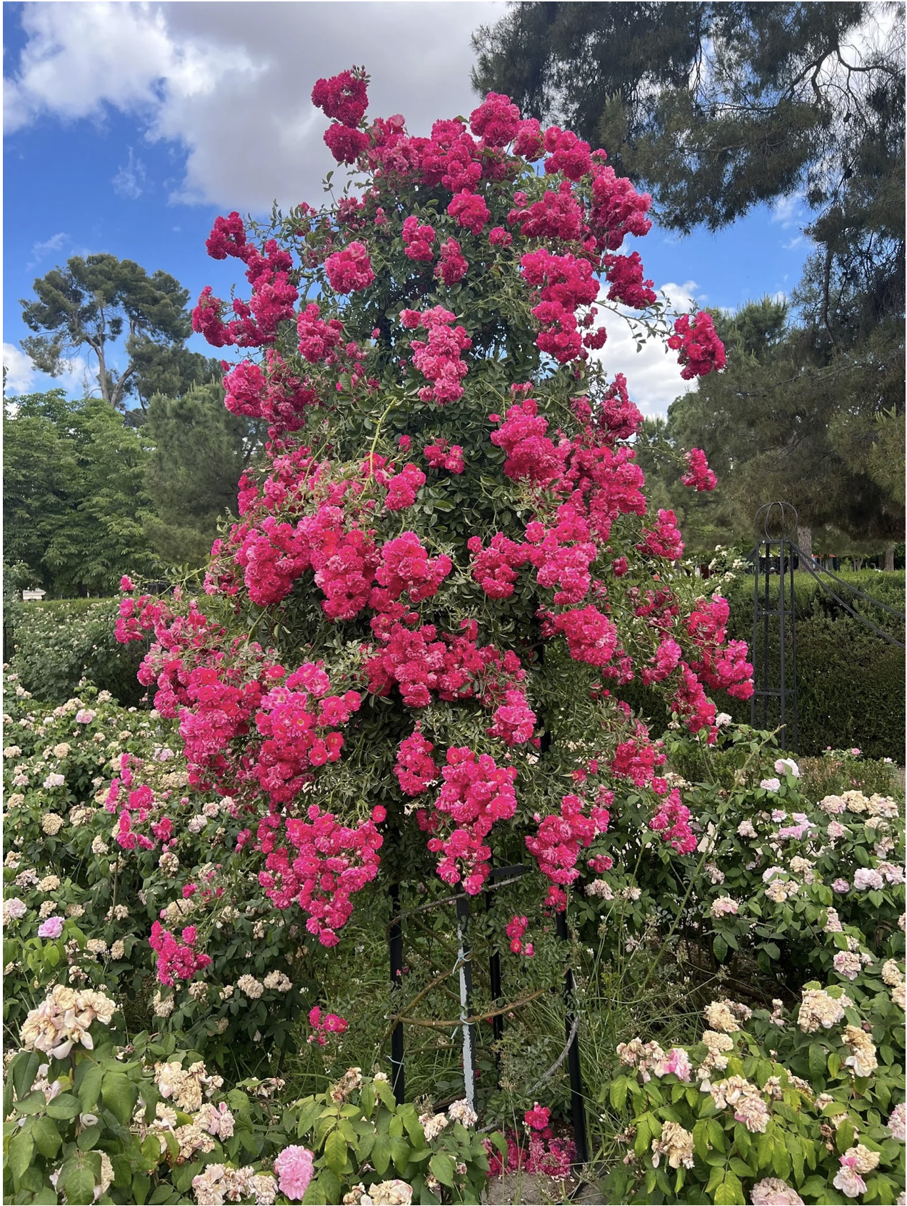 Screenshot 2026-03-11 at 11.43.51 AM.png