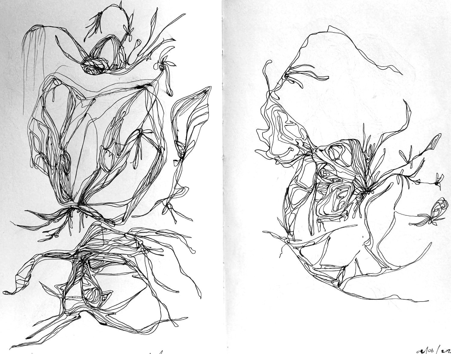 S.Maharba Auto sketch 5