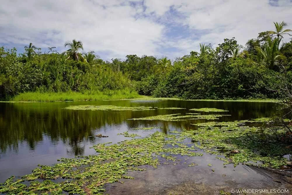 From Cloud Forest to Coast - Costa Rica