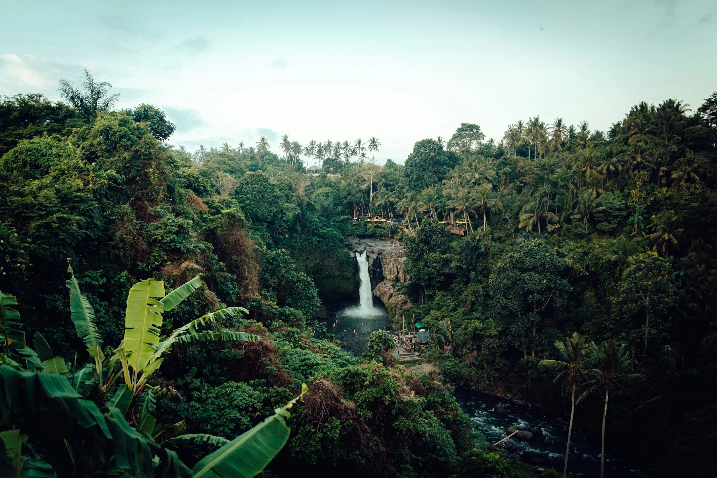 Corcovado, Costa Rica