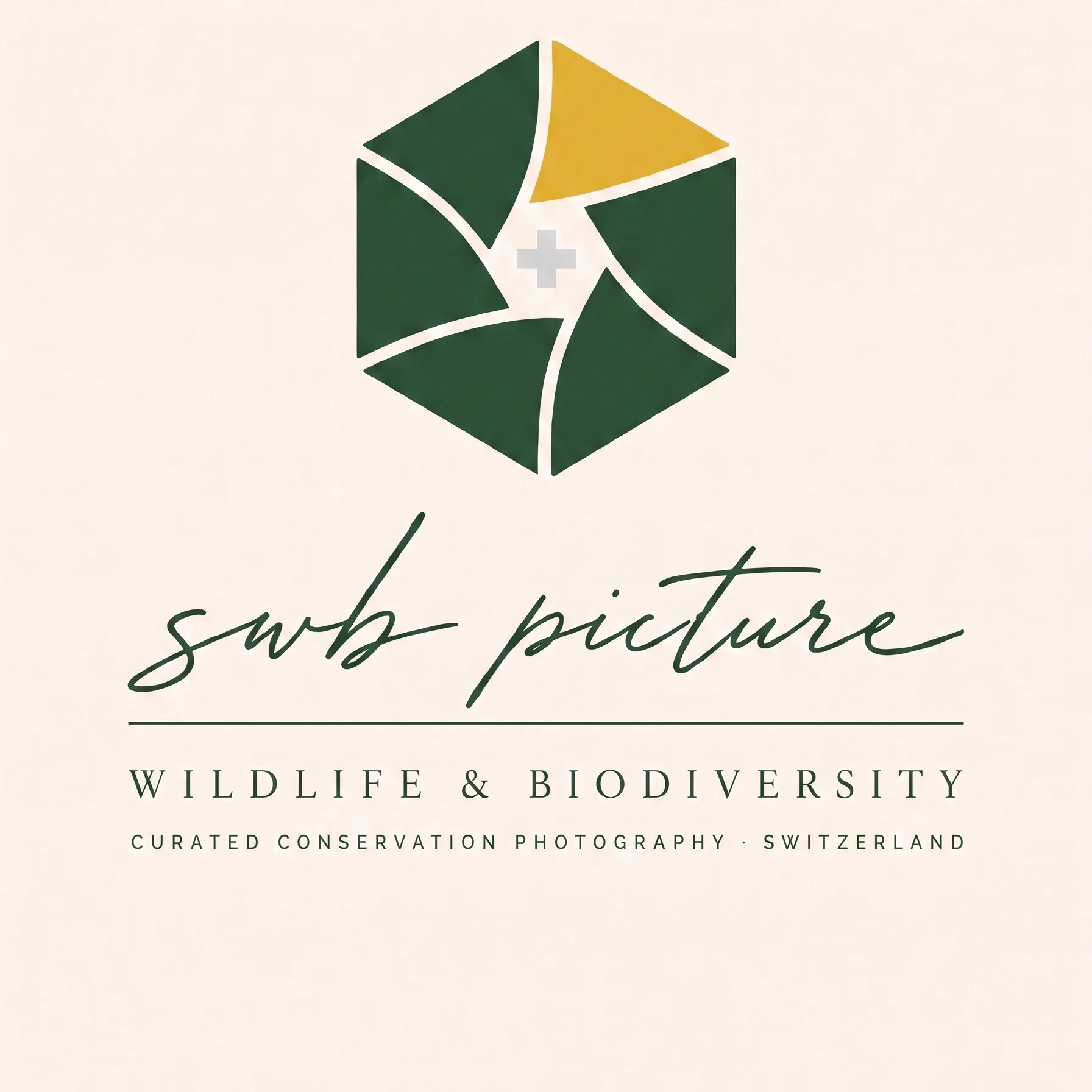 1 Logo V01.webp