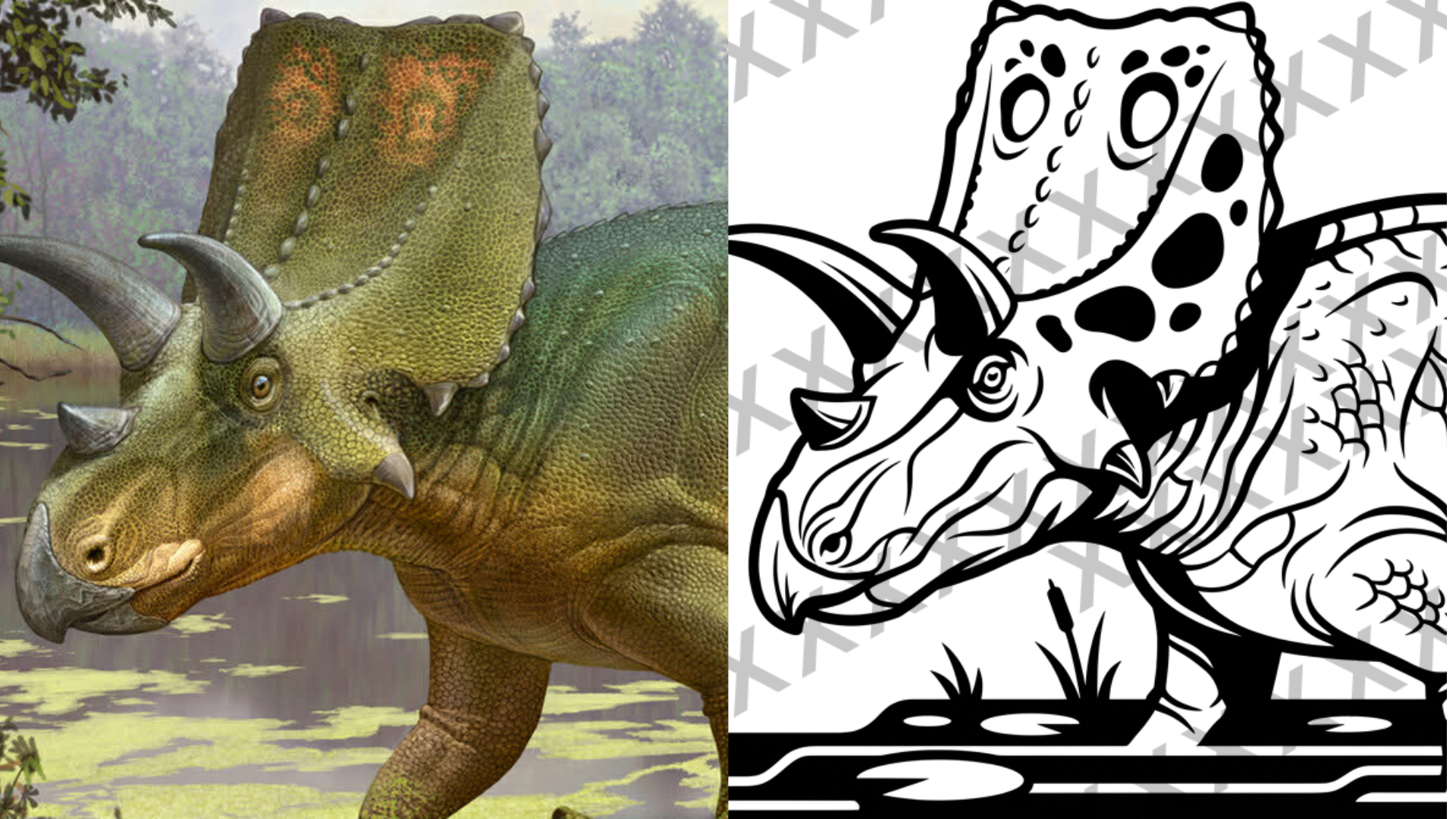A split image showing a realistic illustration of a green Triceratops dinosaur on the left and a black and white coloring page outline of a Triceratops on the right.