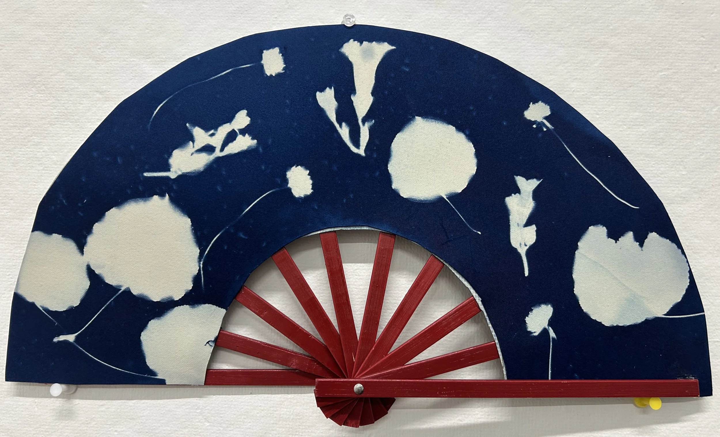 Cyanotype on Paper,  2026