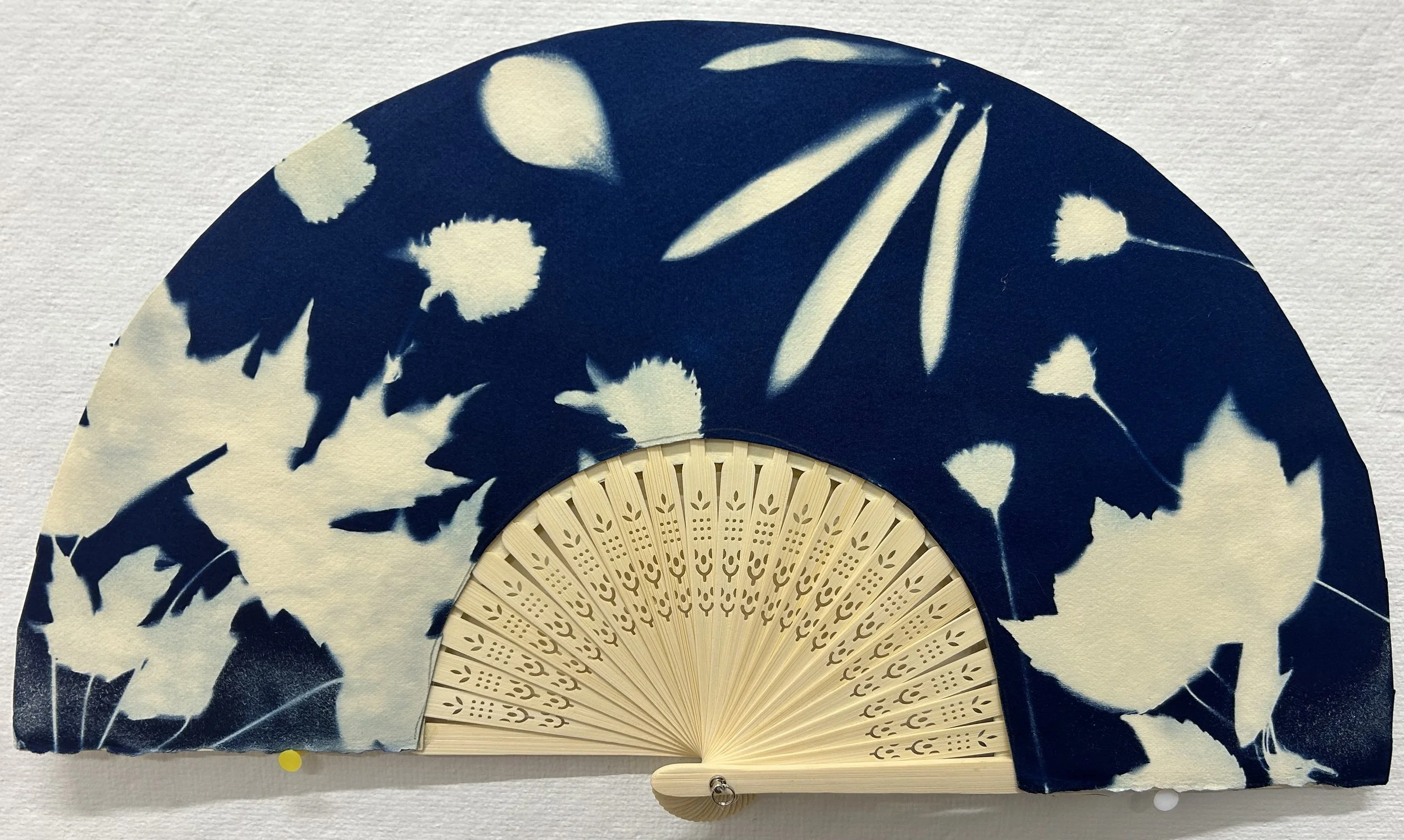 Cyanotype on Paper,  2026