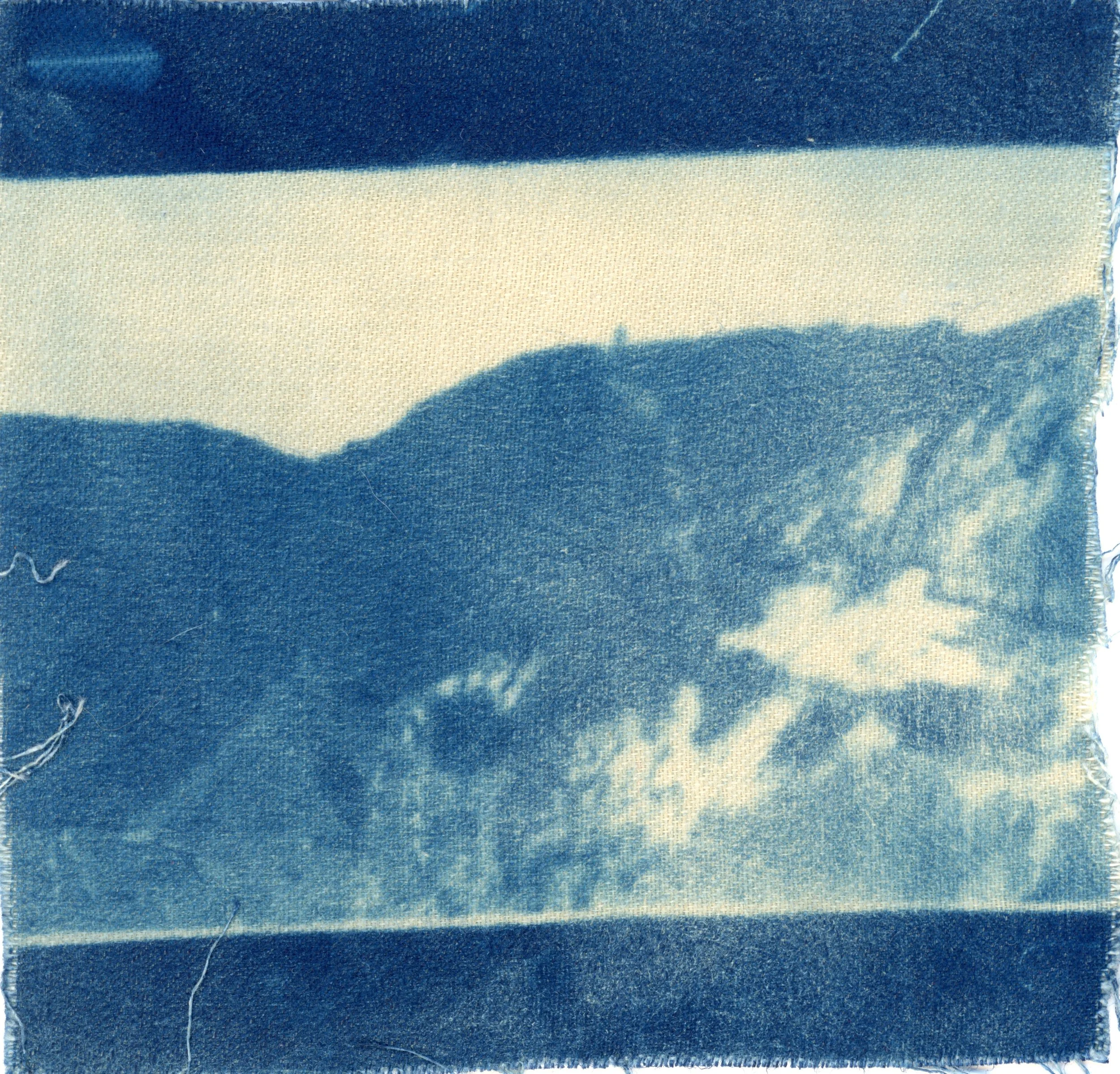 cyanotype on fibric .jpg