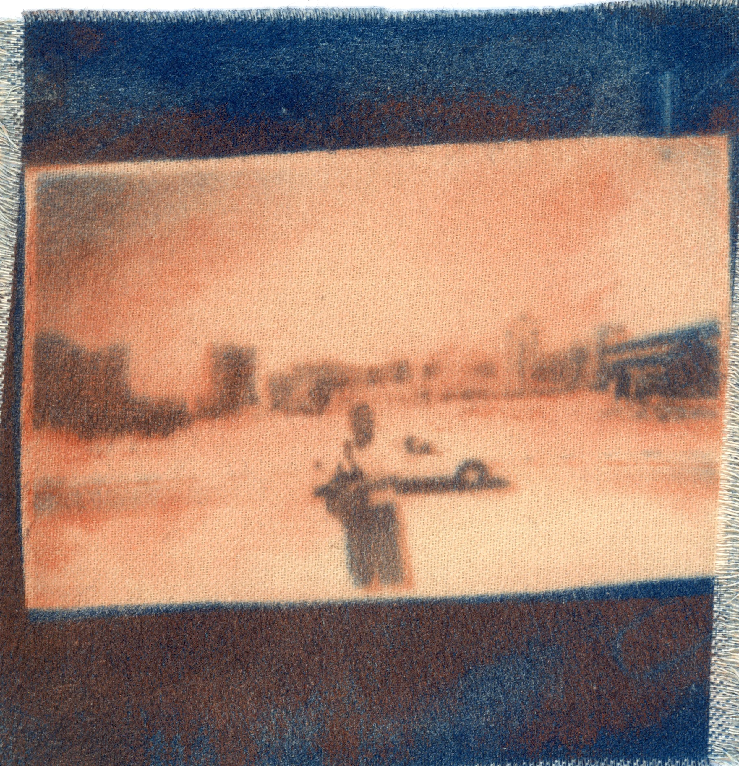 gum bichromate and cyanotype on fibric .jpg