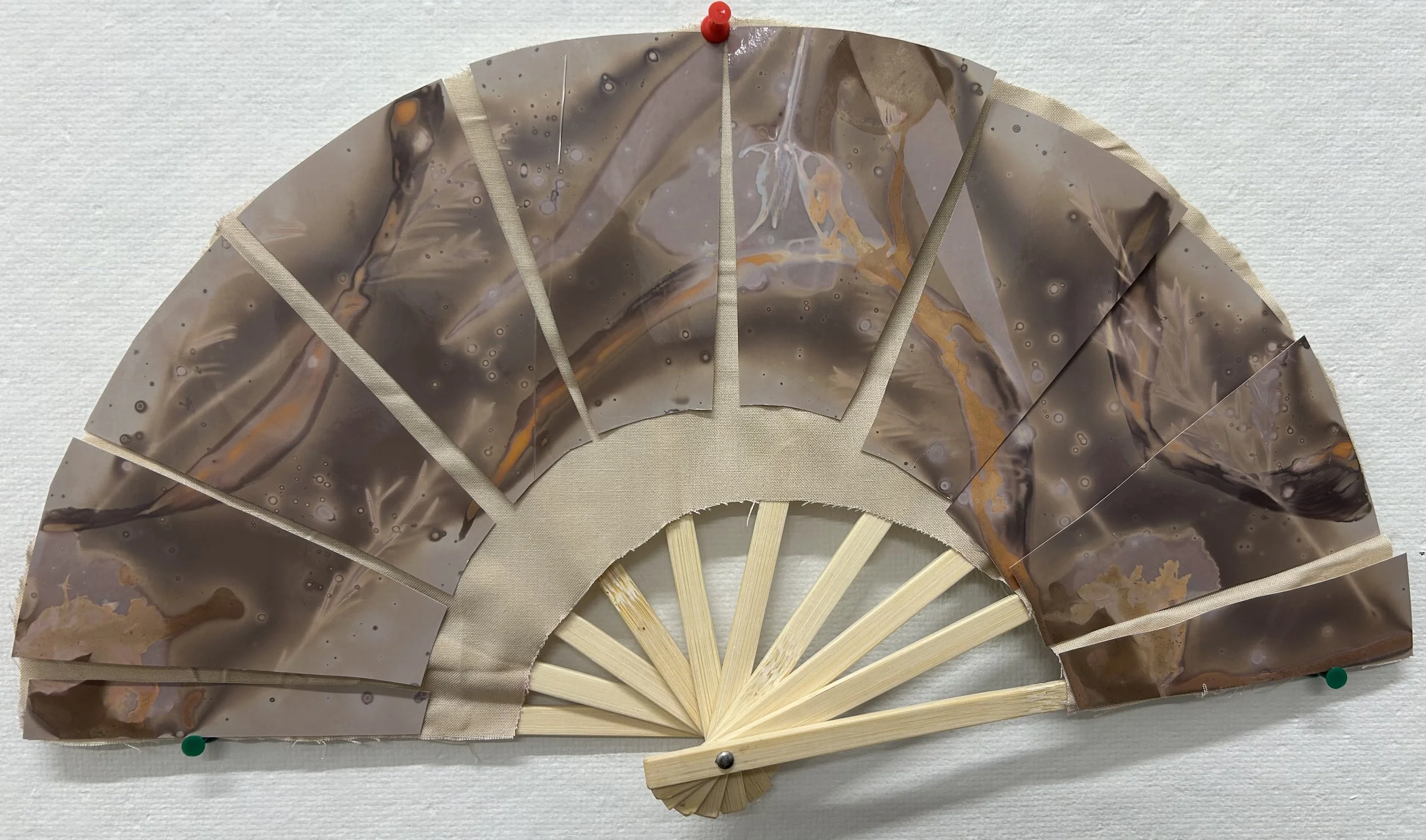 Lumen Print attached to Fabric, 2026