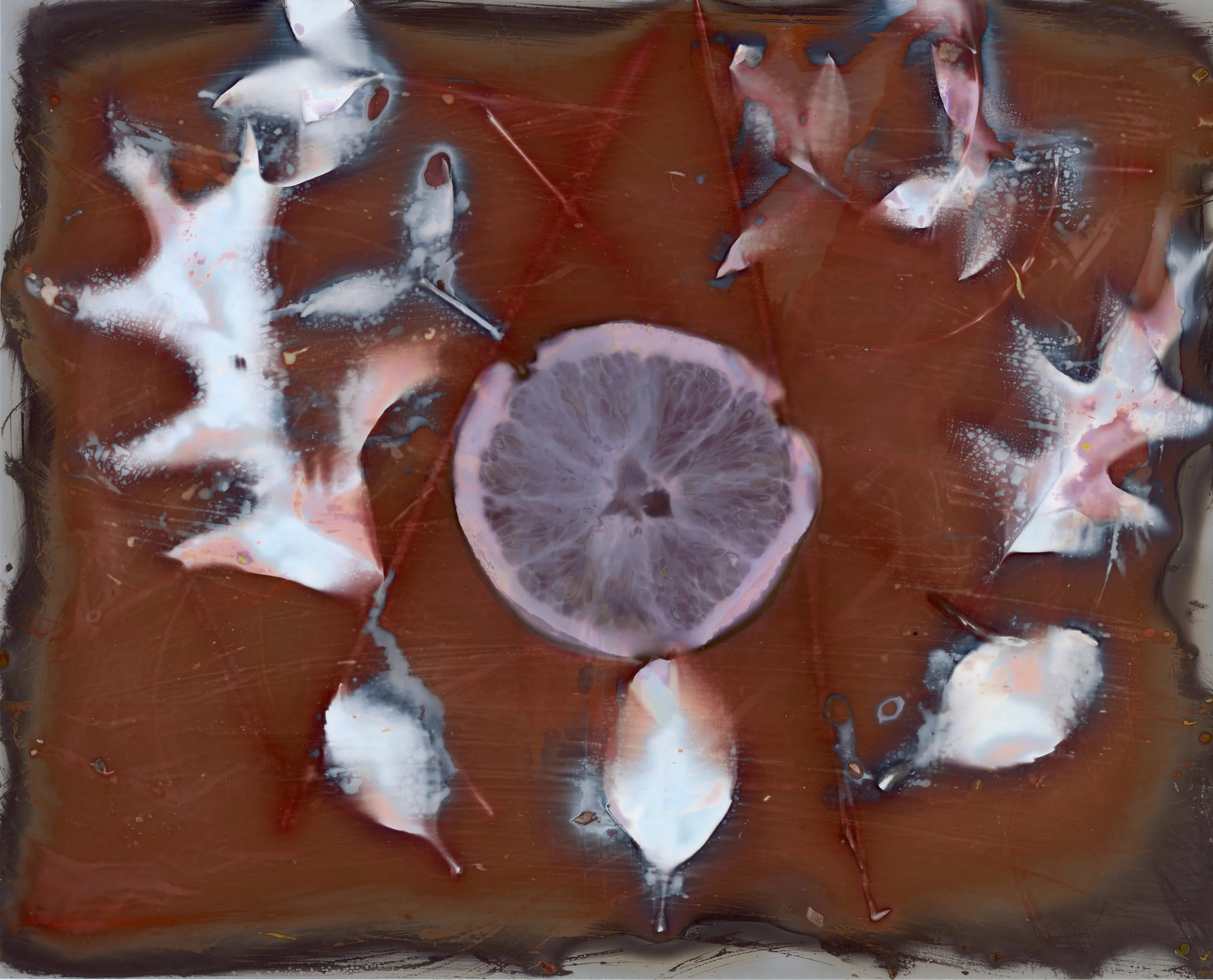 Lumen Print February 2025