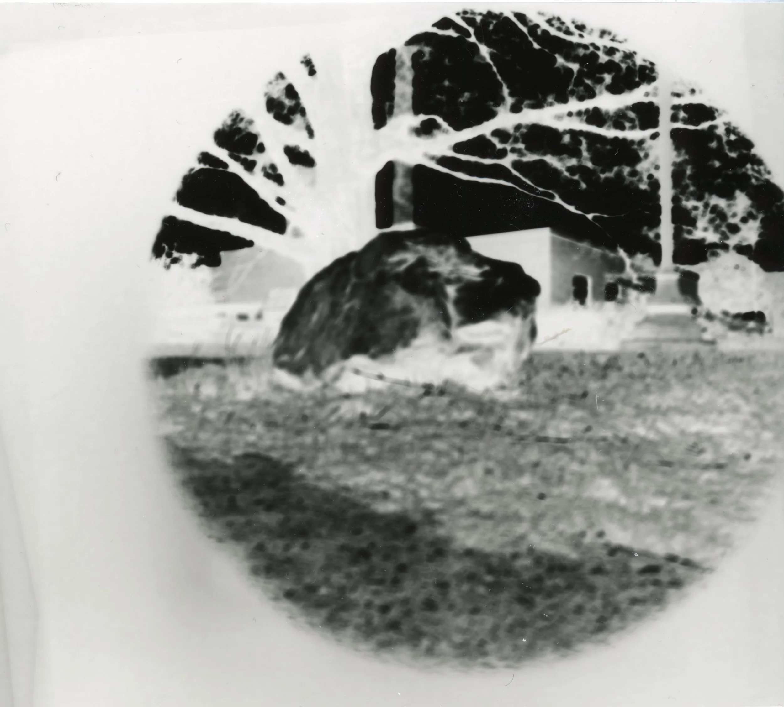 pinhole camera image .jpg
