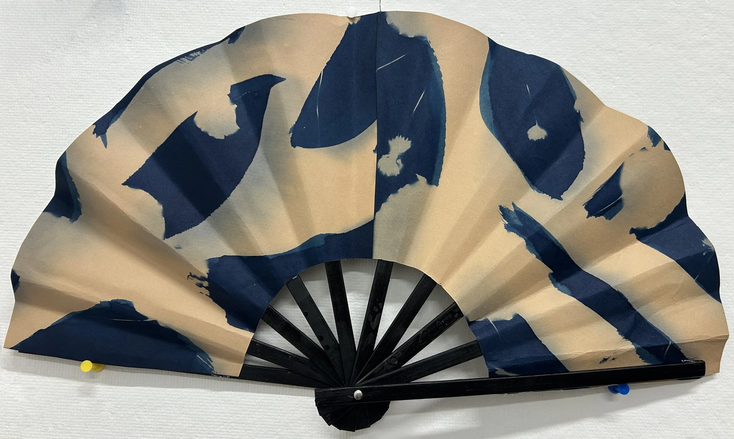 Cyanotype on Paper,  2026