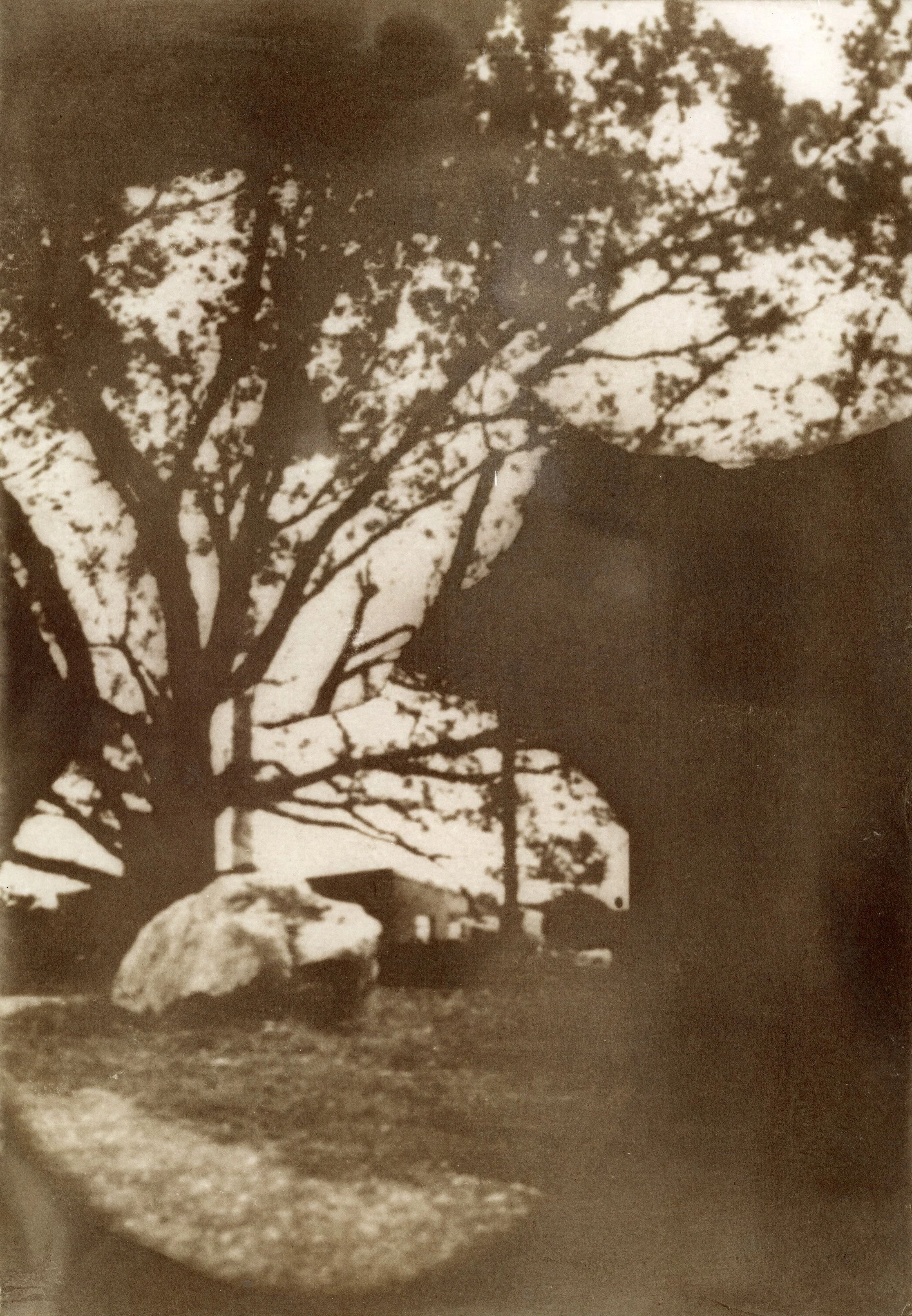 Van Dyke Print April 2025